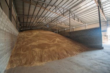grain storage processing agro elevator clipart