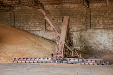 tahıl depolama işleme agro Asansör