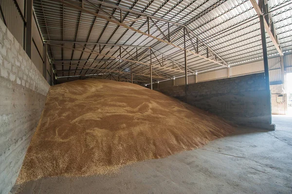 Armazenamento de grãos agro elevador de processamento — Fotografia de Stock