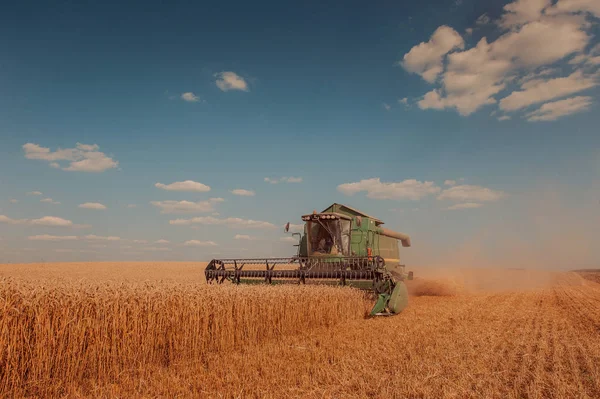 Уборочная машина, комбайн, трактор, работающий в пшенице — стоковое фото