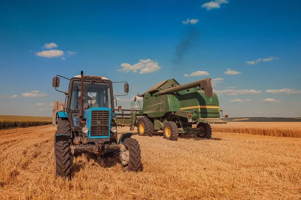 Уборочная машина, комбайн, трактор, работающий в пшенице — стоковое фото