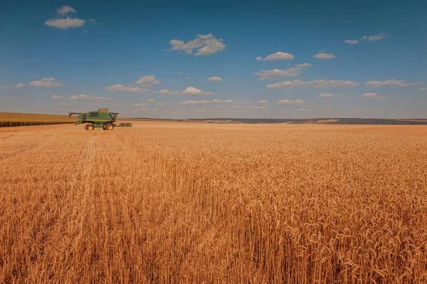 Harvester, trekker werken in een weit oogsten machine, combineren — Stockfoto