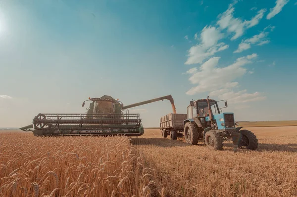 Erntemaschine, Mähdrescher, Traktor bei der Arbeit im Weizen — Stockfoto