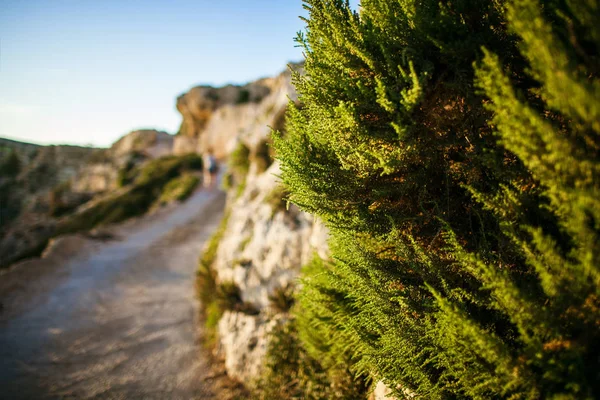 Strada in montagna — Foto Stock