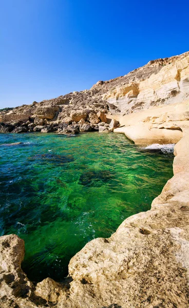 Estate paesaggio naturale — Foto Stock