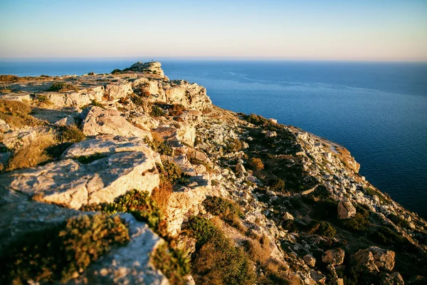 Dingli kliffen op Malta Rechtenvrije Stockfoto's