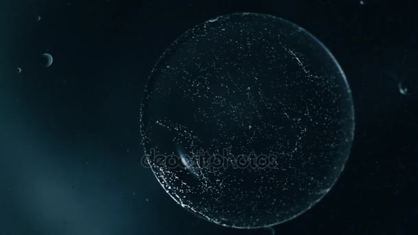 Flying bubbles abstract black background — Stock Video