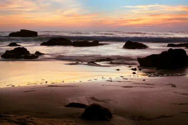 Passera di mare — Foto Stock