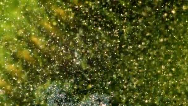 Suyun Altındaki Yeşil Kumdaki Antik Mekanizma — Stok video