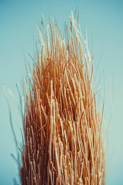 ペイント ブラシの毛 — ストック写真