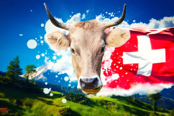 Schweiziska Välkommen kort — Stockfoto