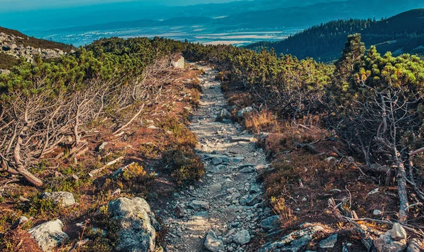 Caminho de pedra em altas montanhas — Fotografia de Stock