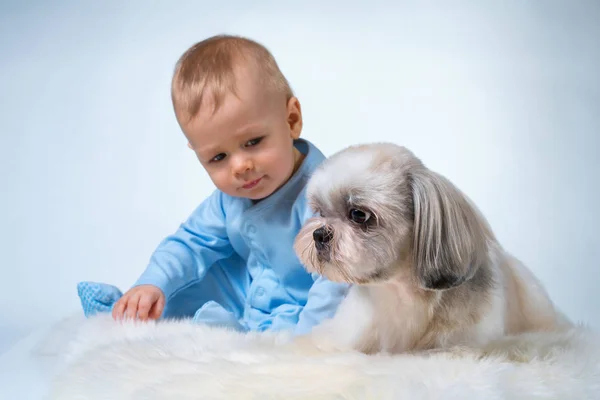 Bebê com cão — Fotografia de Stock