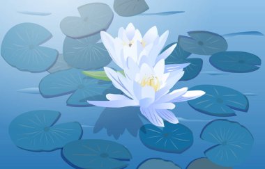 Lily flowers on water clipart