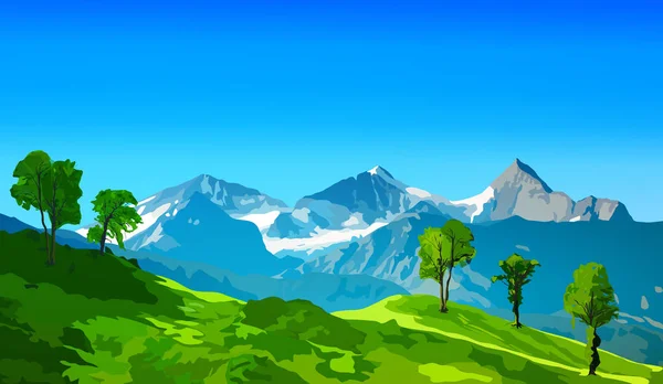 Bergen van de Alpen met velden en rotsen — Stockvector