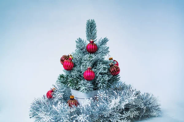 Pequeño árbol de año nuevo — Foto de Stock