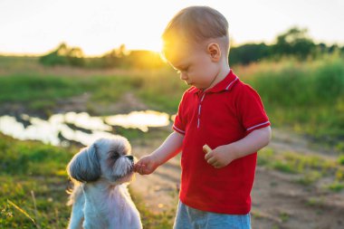 Çocuk beslenme köpek