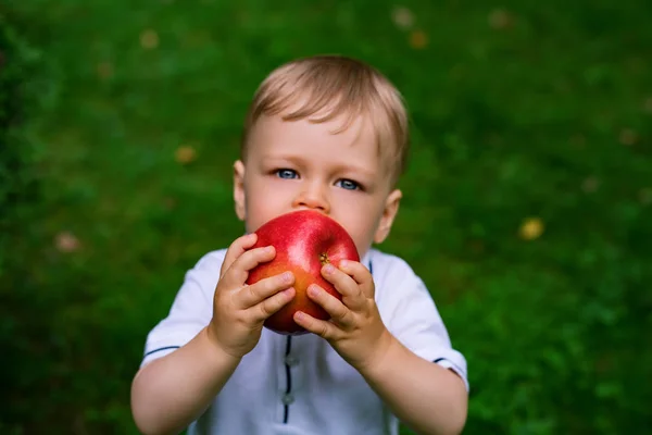 아이 먹는 사과 — 스톡 사진