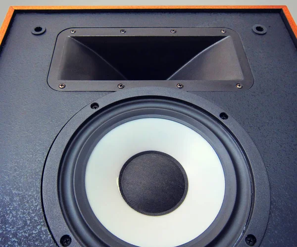 Big Audio Stereo Loud Speaker Cone Driver Closeup — Stock Photo, Image