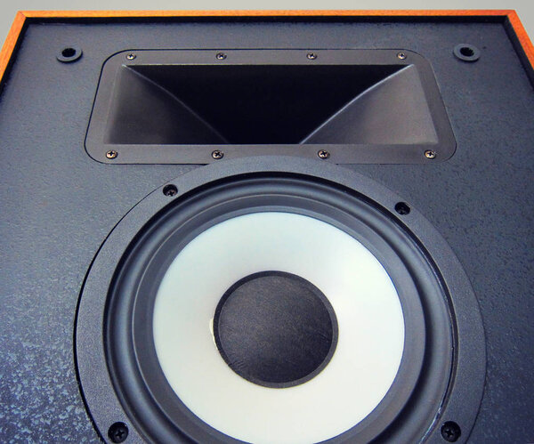 Big Audio Stereo Loud Speaker Cone Driver Closeup, front view