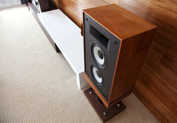 Haut-parleur audio vintage dans un intérieur moderne minimaliste — Photo