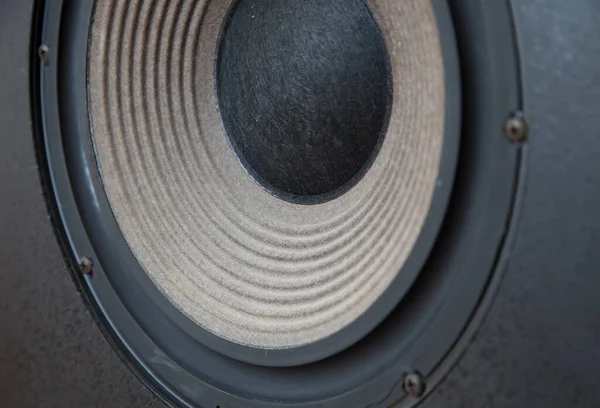 Huge Bass Vintage Loudspeaker Driver Cone Passive Radiator Macro Screws — Stock Photo, Image