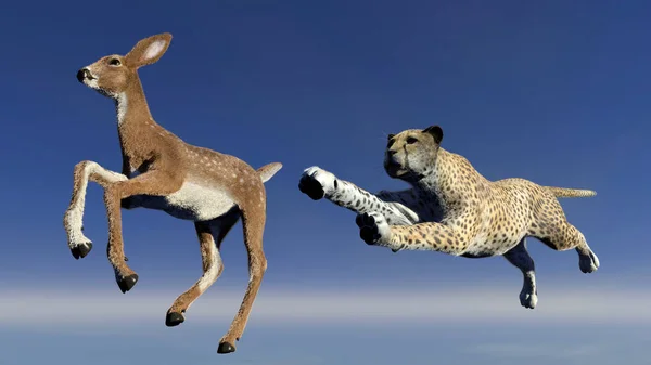 Cheetah Está Cazando Antílope Ilustración — Foto de Stock