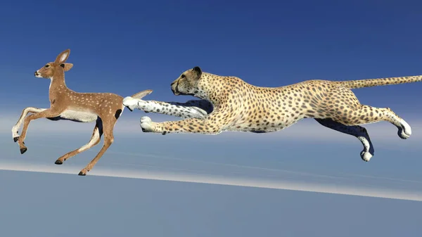 Cheetah Está Cazando Antílope Ilustración Imagen De Stock