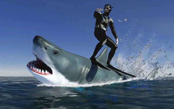 Shark Diving Image Illustration 스톡 사진