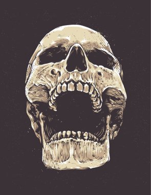 Anatomik Grunge kafatası