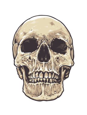 Anatomik Grunge kafatası
