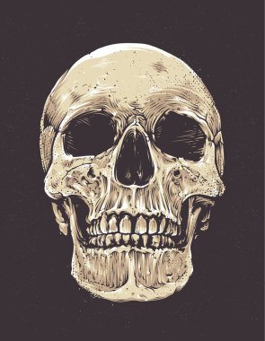 Anatomik Grunge kafatası