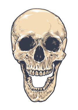 Anatomik Grunge kafatası