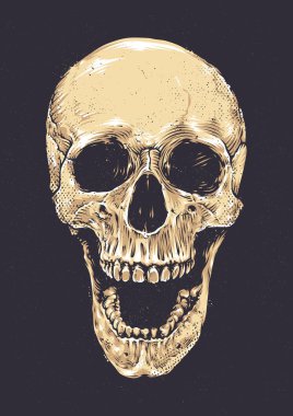 Anatomik Grunge kafatası