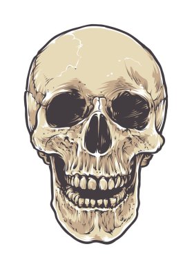 Anatomik Grunge kafatası