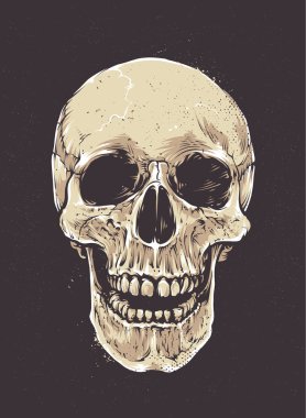 Anatomik Grunge kafatası