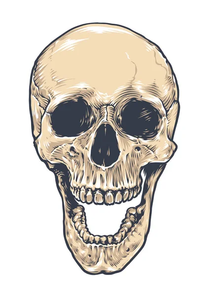 Anatomic Grunge Skull — Stock Vector