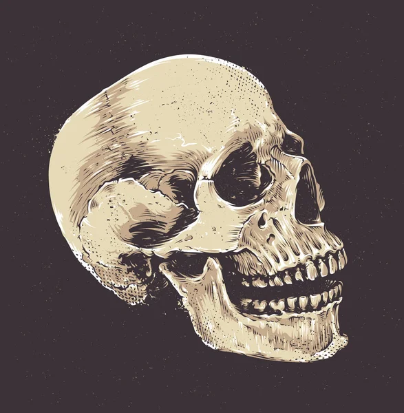 Cráneo de Grunge anatómico — Vector de stock