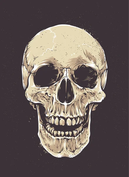 Crâne de Grunge anatomique — Image vectorielle