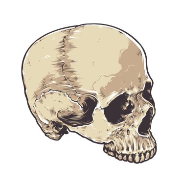 Anatomik Grunge kafatası