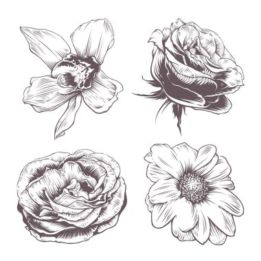 Vektör çiçekleri ayarlandı