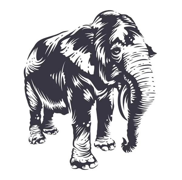 Sztuka słoń wektor — Wektor stockowy