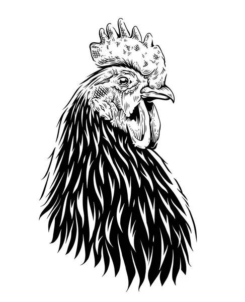 Vector Rooster — стоковый вектор