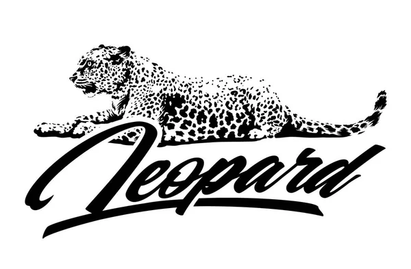Leopardenvektordesign — Stockvektor