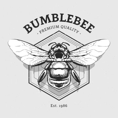 Bumblebee ile Vektör Tasarımı