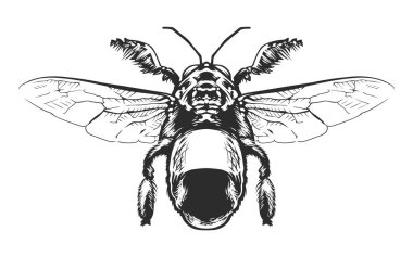 Vektör İşleme Böceği