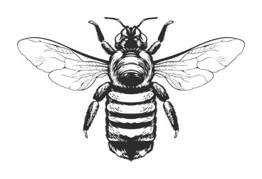 Vektör İşleme Böceği