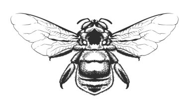 Vektör İşleme Böceği