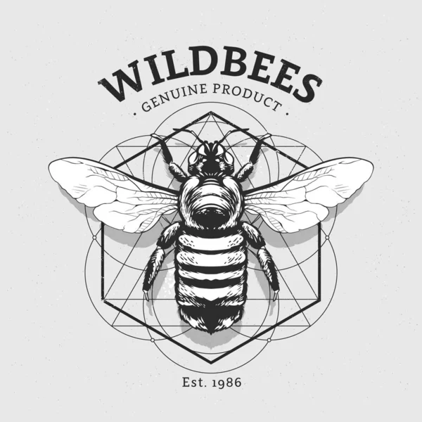 Σχεδιασμός διανύσματος με Bumblebee — Διανυσματικό Αρχείο