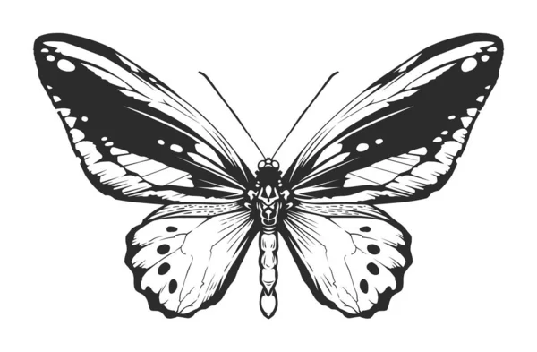 Vektör İşleme Böceği — Stok Vektör